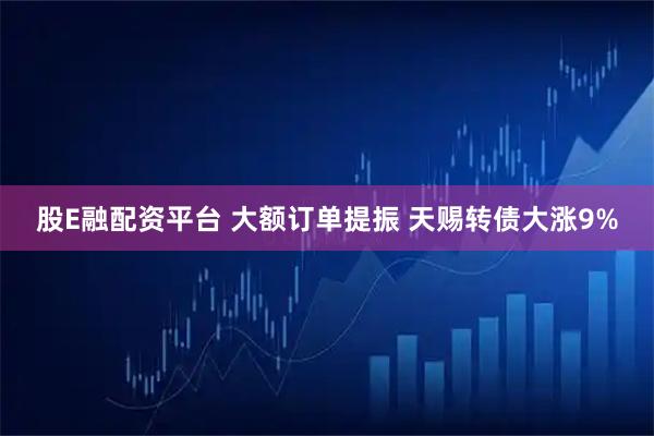股E融配资平台 大额订单提振 天赐转债大涨9%