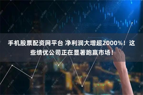 手机股票配资网平台 净利润大增超2000%！这些绩优公司正在显著跑赢市场！
