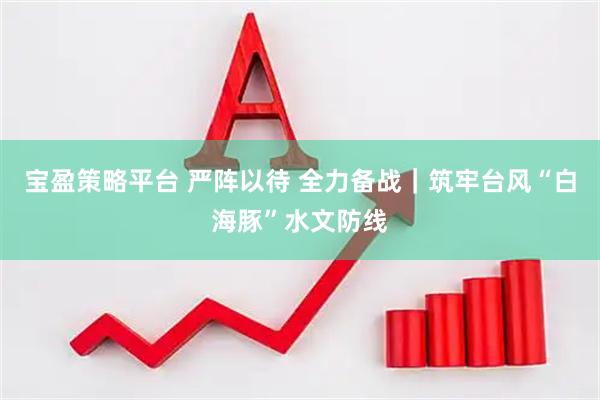 宝盈策略平台 严阵以待 全力备战｜筑牢台风“白海豚”水文防线